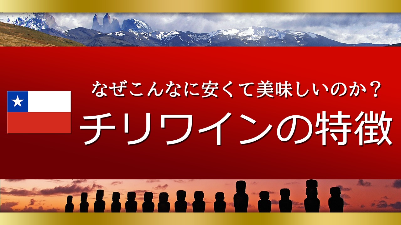 初心者でも分かるチリワインの特徴！他の国との大きな違いを教えます。