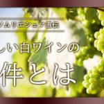 【初心者限定】美味しい白ワインの条件とは？
