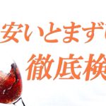 アルパカワインは安くてまずいという噂をソムリエが本気で検証してみた