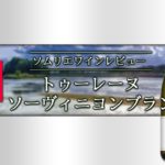 【ワインレビュー】マルキ･ド･グーレーヌ･トゥーレーヌ･ソーヴィニヨンブラン 2019