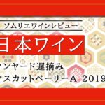 【ワインレビュー】柏原ヴィンヤード遅摘み・マスカットベーリーA 2019
