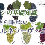 カベルネソーヴィニヨンとは？今更聞けないワインの基礎知識